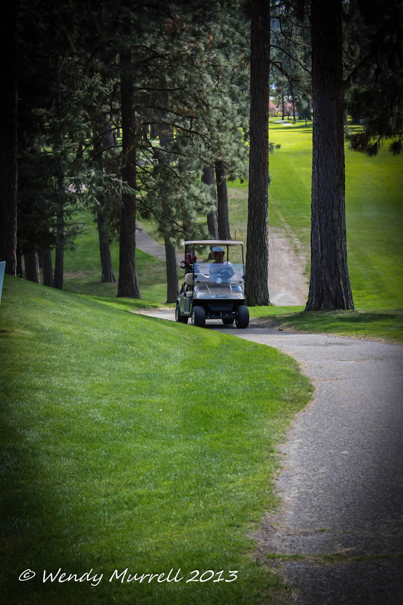 Golf cart